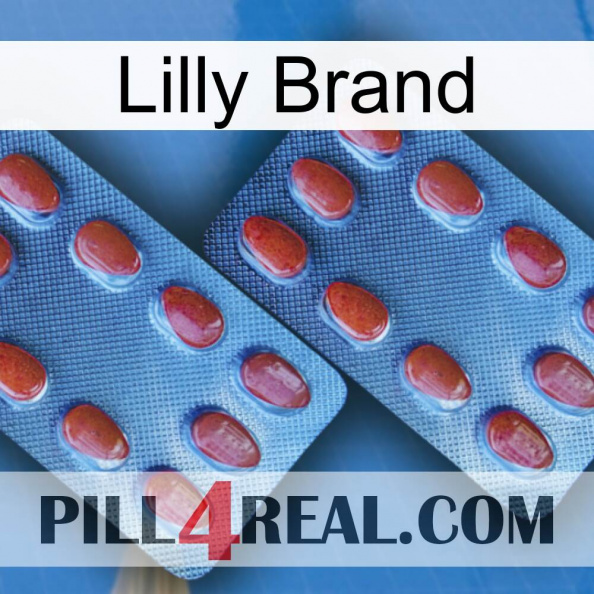 Lilly Brand 05.jpg